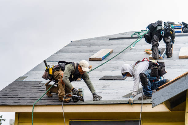 Professional Gutter Installation technician working in Henrieville, UT